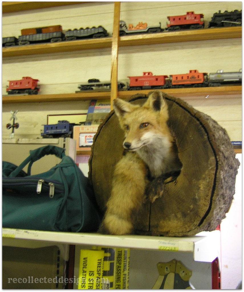 ...the fox says how you doin'... 