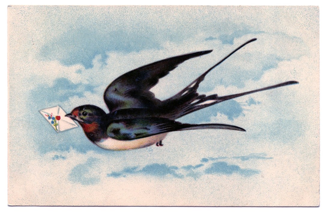 swallow-Image-Graphics-Fairy2