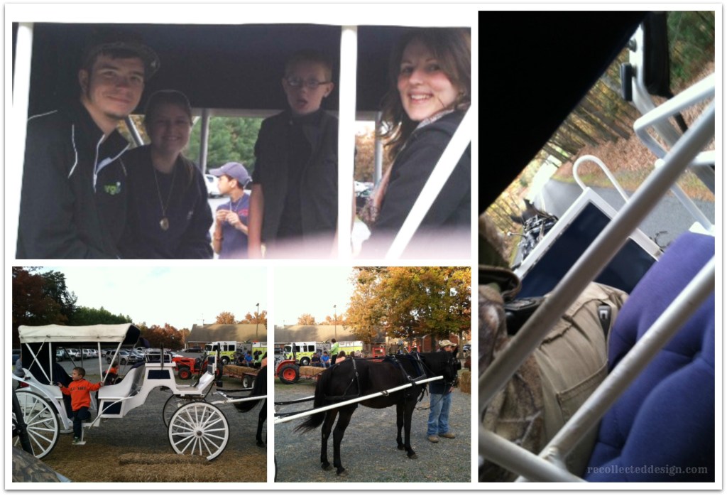 buggy ride collage