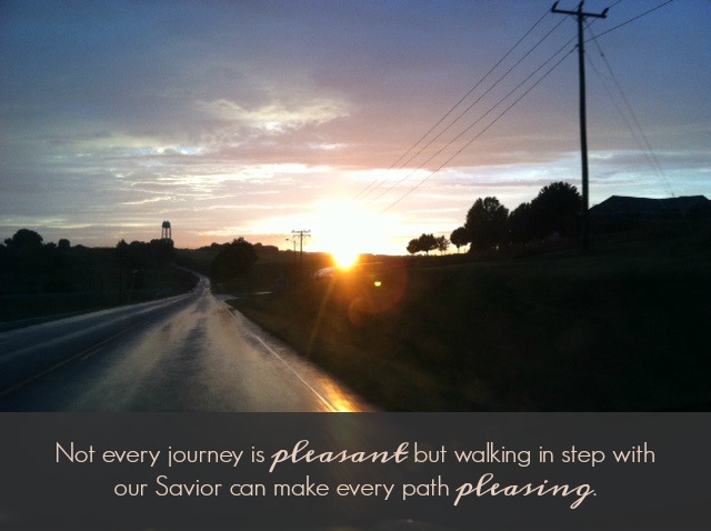 pleasant and pleasing